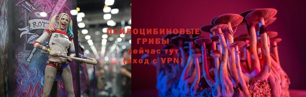спайс Магас